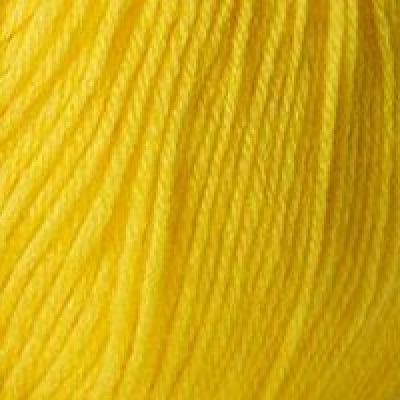 Пряжа для вязания ПЕХ Детский каприз (50% мериносовая шерсть, 50% фибра) 50г/225м цв.012 желток